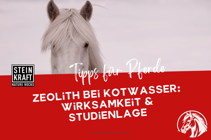 STEINKRAFT Zeolith für Pferde Blogartikel: Zeolith bei Kotwasser - Wirksamkeit und viele Studien