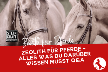 STEINKRAFT Zeolith für Pferde - Alles was du darüber wissen musst inclusive  viele Fragen und Antworten