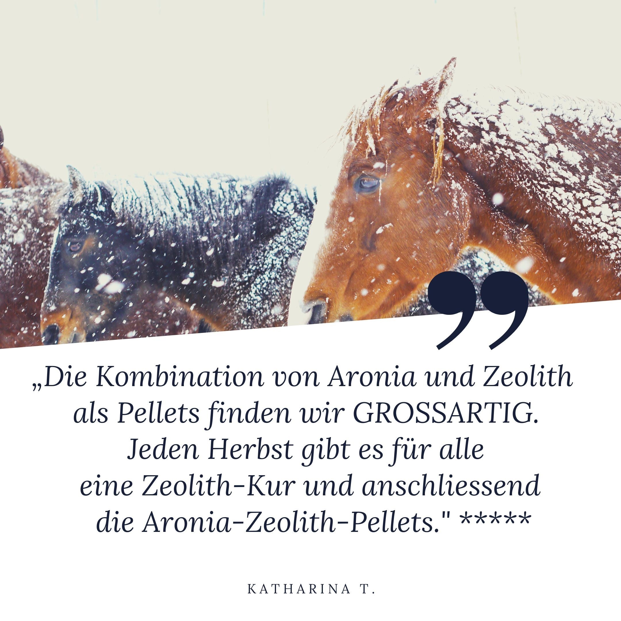 STEINKRAFT Zeolith für Pferde. Katharina T. sagt: "Die Kombination von Aronia und zeolith als Pellets finden wir grossartig. Jeden Herbst gibt es für alle eine Zeolith-Kur und anschlieesend die Aronia-Zeolith-Pellets." Und sie gibt 5 Punkte.