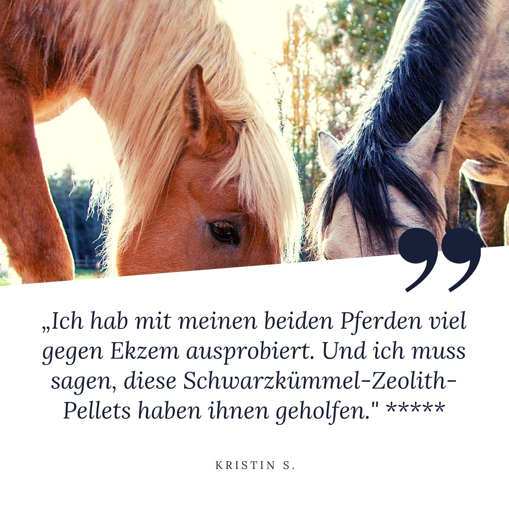 "Ich hab mit meinen beiden Pferden viel gegen Ekzem ausprobiert. Und ich muss sagen, diese chwarzkümmel-Zeolith-Pellets haben ihnen geholfen", sagt Kristin und gibt STEINKRAFT Zeolith für Pferde 5 Sterne.