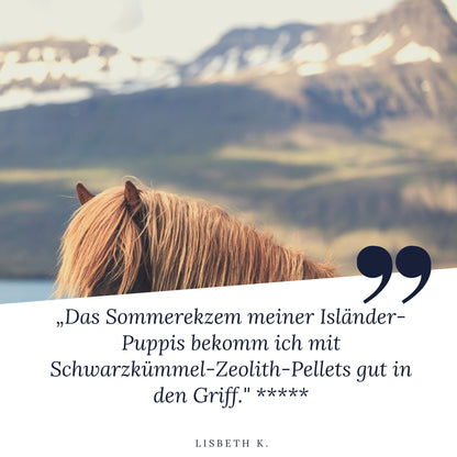 STEINKRAFT Zeolith für Pferde mit Sommerekzem. Lisbeth K sagt: "Das Sommerekzem meiner Isländer_Puppis bekomm ich mit Schwarzkümmel und Zeolith gut in den Griff" und vergibt 5 Sterne.