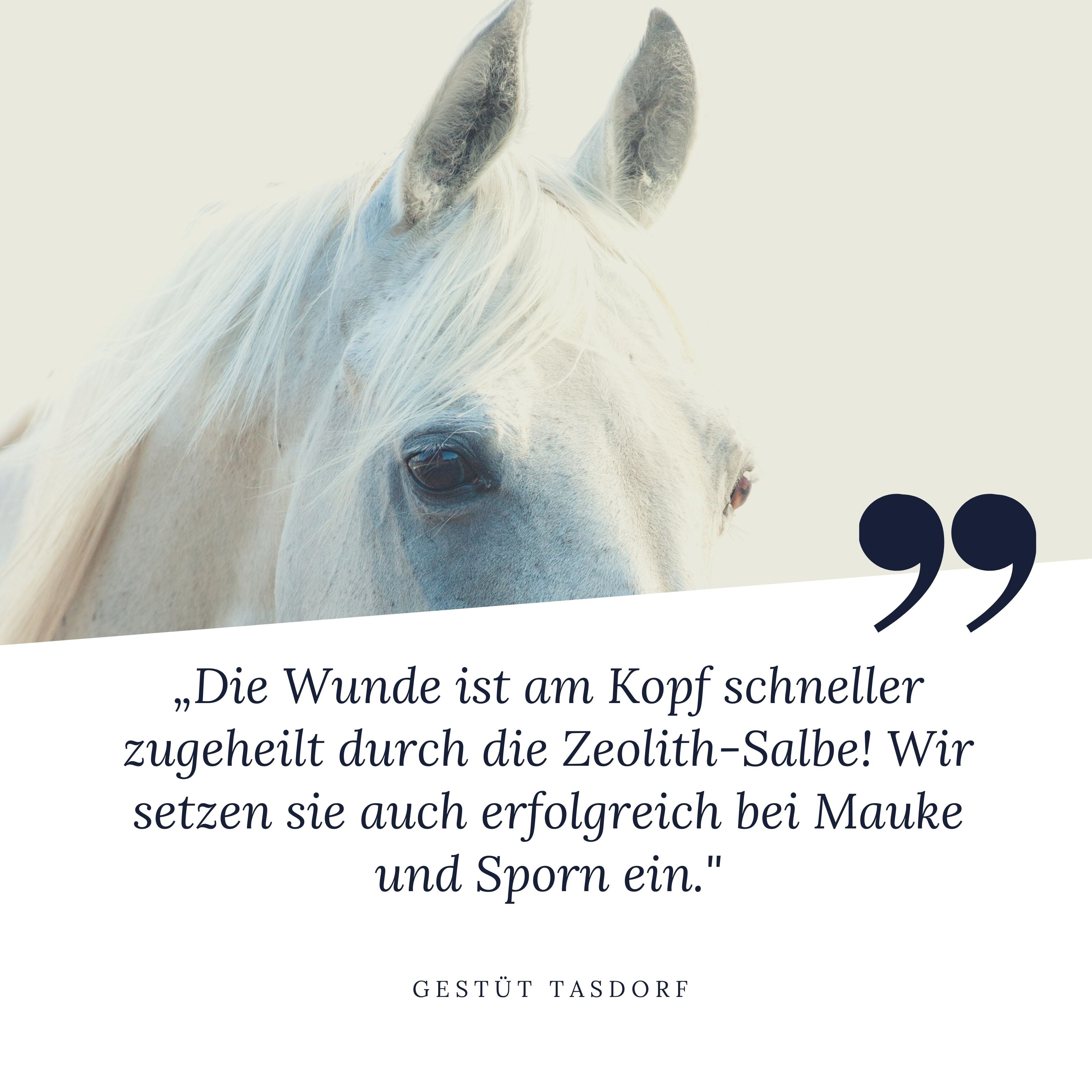 STEINKRAFT Zeolith Wundsalbe für Pferde wurde am Gestüt Tasdorf eingesagt und das ist ihre Erfahrung: "Die Wunde ist am Kopf schneller zugeheilt durch die Zeolith-Salbe. Wir setzen sie auch erfolgreich bei Mauke und Sporn ein." Sie geben der Wundsalbe 5 Sterne.