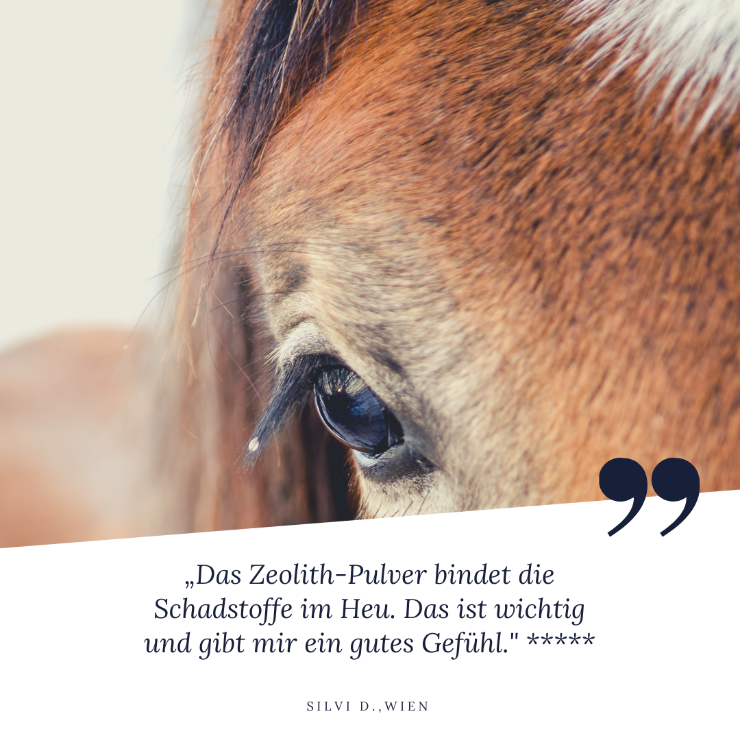 Silvi D. aus Wien sagt: Das Zeolith Pulver bindet die Schadstoffe im Heu. Das ist wichtig und gibt mir ein gutes Gefühl.
