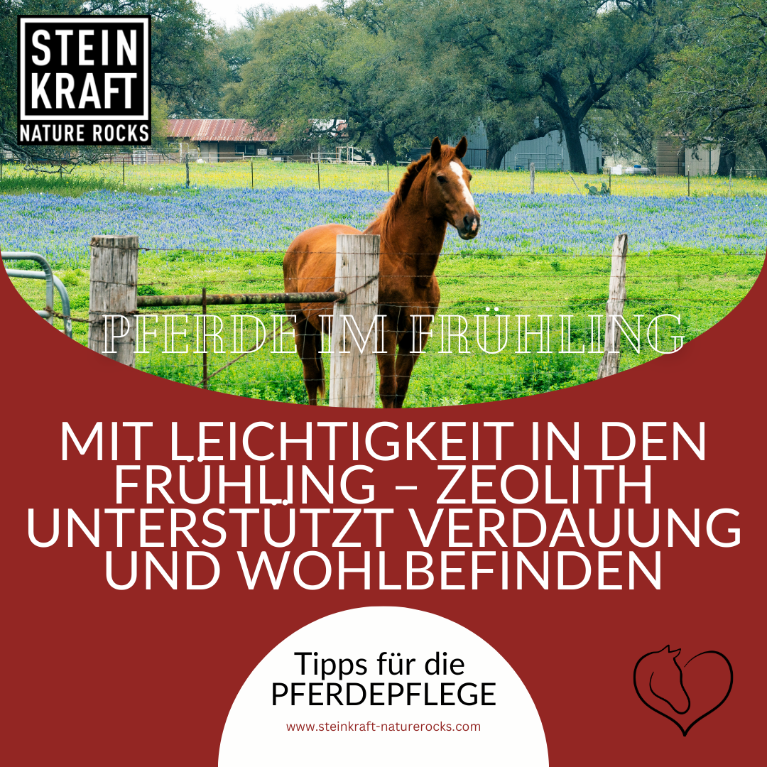 STEINKRAFT Zeolith für Pferde hilft bei Kotwasser und Ekzemen: Mit Leichtigkeit in den Frühling - Zeolith unterstützt Verdauung und Wohlbefinden.