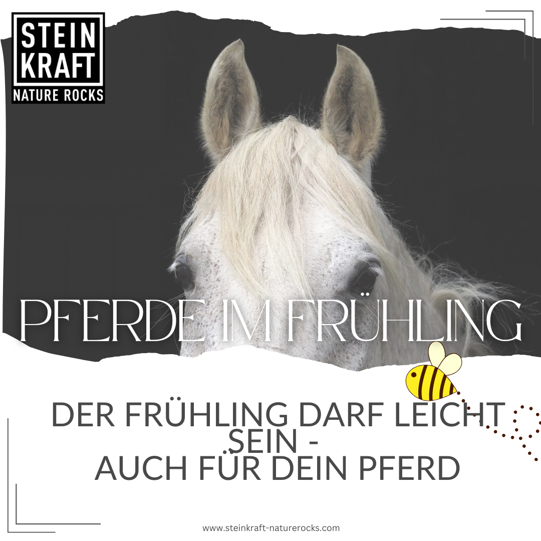 HORSEKRAFT Zeolite Powder for Horses