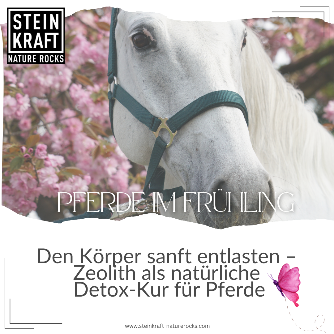 HORSEKRAFT Zeolith Pulver Pur Probe