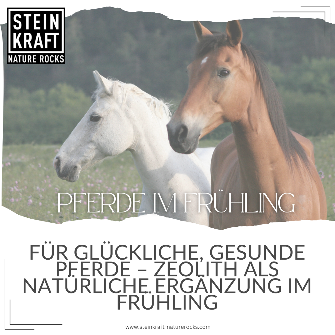 HORSEKRAFT Zeolite Powder for Horses