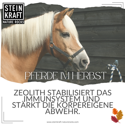 HORSEKRAFT Zeolith Pulver für Pferde