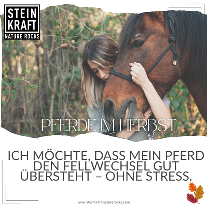 HORSEKRAFT Zeolith Pulver für Pferde