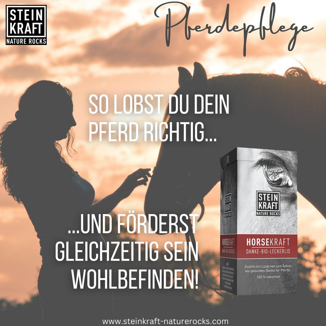 STEINKRAFT Bio-Leckerlis mit Zeolith für Pferde - So lobst du dein Pferd richtig und förderst gleichzeitig sein Wohlbefinden.