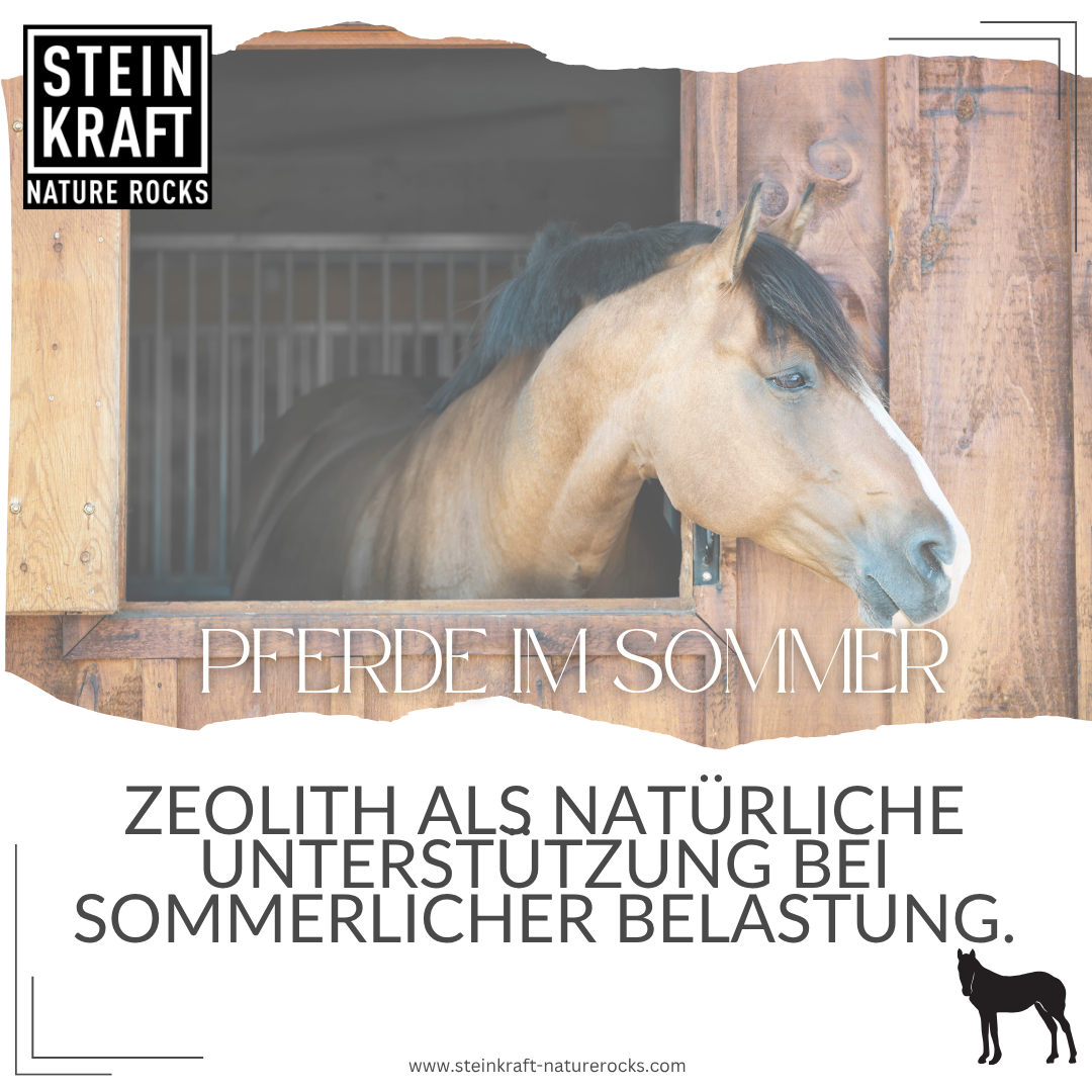 HORSEKRAFT Zeolite Pellets