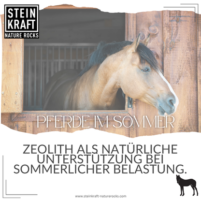 HORSEKRAFT Zeolite Pellets