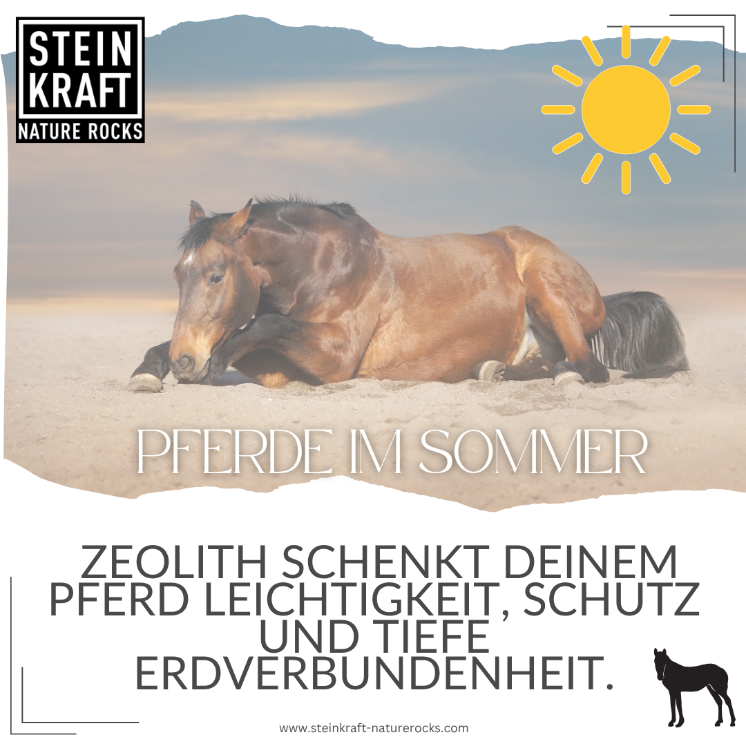 HORSEKRAFT Zeolite Powder for Horses