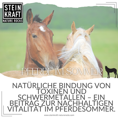STEINKRAFT Zeolith Pulver und Pellets für Pferde im Sommer: Natürliche Bindung von Toxinen und Schwermetallen - ein Beitrag zur nachhaltigen Vitalität im Pferdesommer.