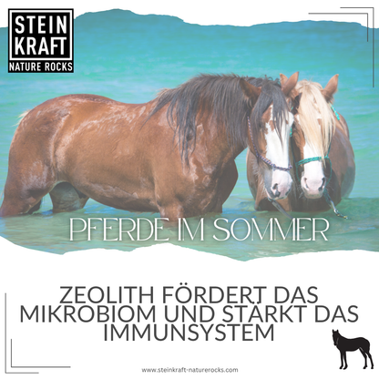 HORSEKRAFT Zeolith Pulver für Pferde
