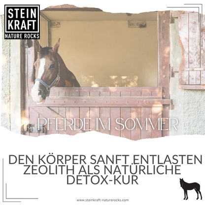 STEINKRAFT Zeolith Pulver und Pellets für Pferde im Sommer: Den Körper sanft entlasten Zeolith als natürliche DetoxKur