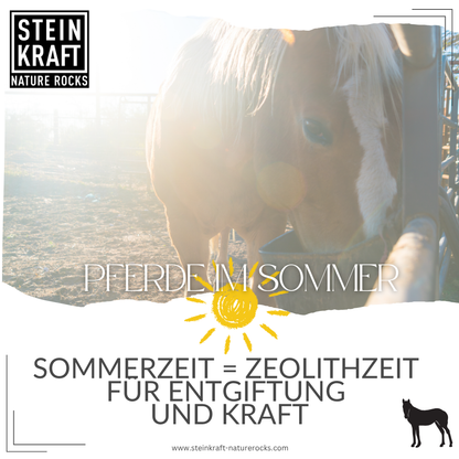 HORSEKRAFT Zeolith Pulver für Pferde