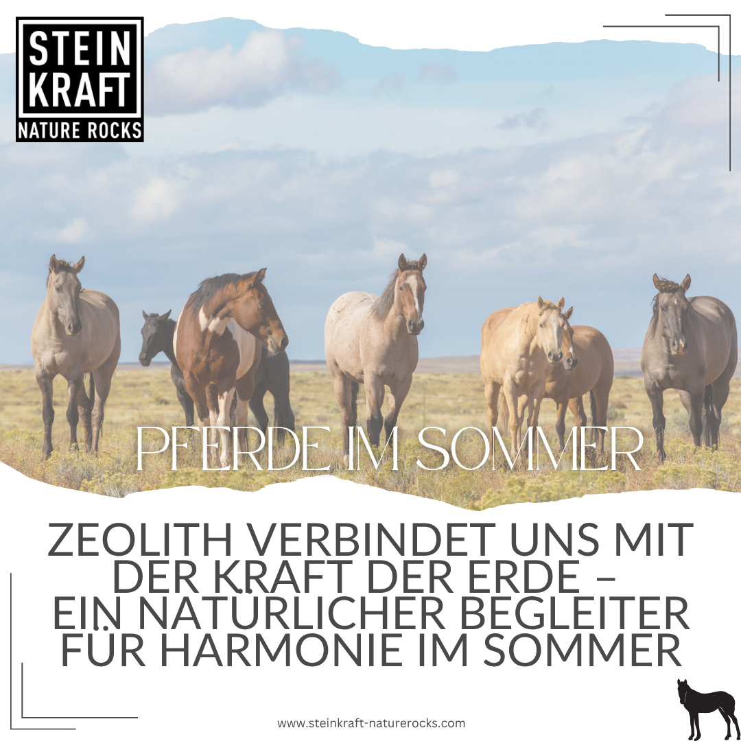 Zeolith verbindet uns mit der Kraft der Erde - ein natürlicher Begleiter für Harmonie im Sommer