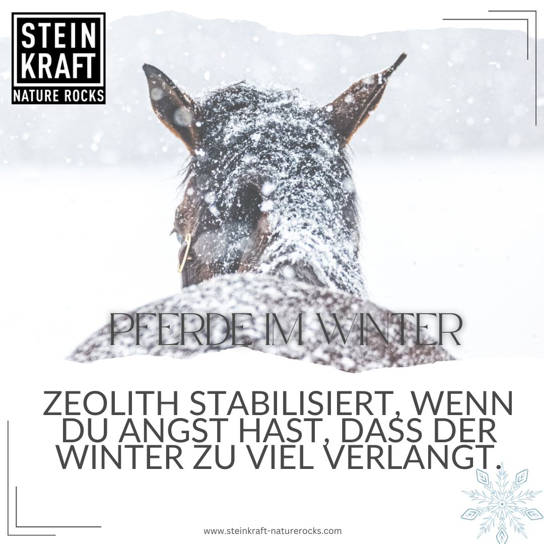 HORSEKRAFT Zeolith Pulver für Pferde