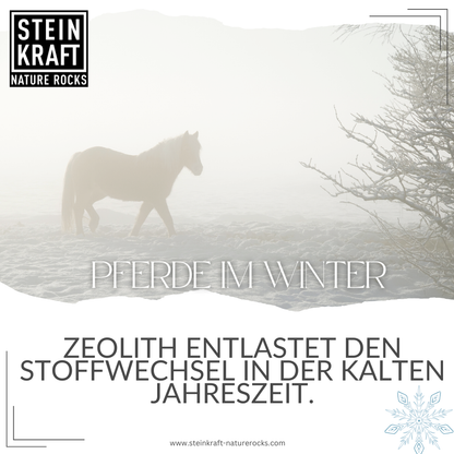 HORSEKRAFT Zeolith Pulver Pur Probe