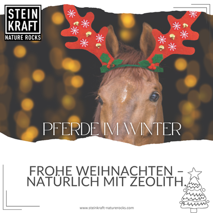 HORSEKRAFT Zeolith Pellets