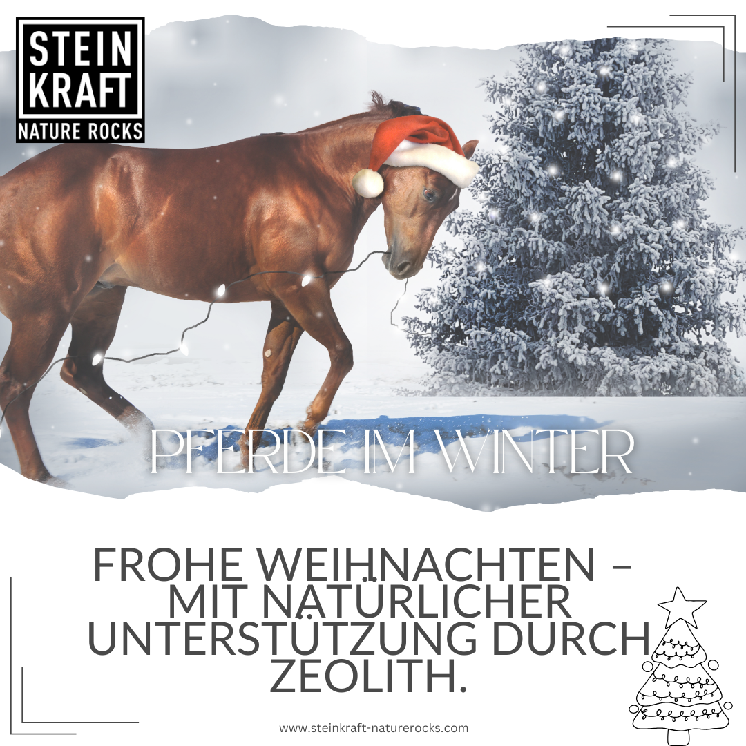 HORSEKRAFT Zeolith Pellets Pur Probe