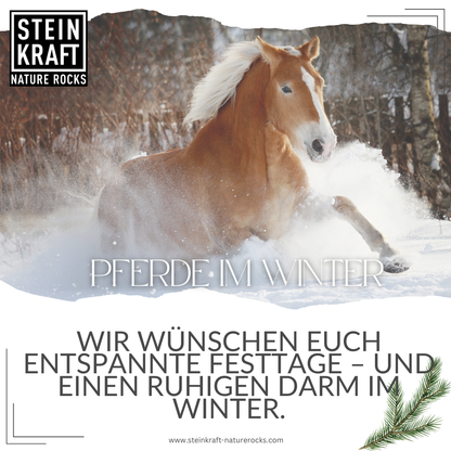 HORSEKRAFT Zeolith Pulver für Pferde