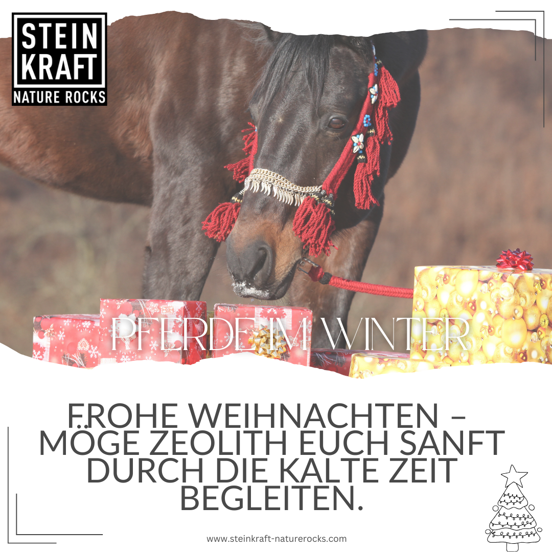 Pferde im Winter mit Geschenken - Frohe Weihnachten - möge Zeolith euch sanft durch die kalte Zeit begleiten.