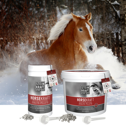 Steinkraft Zeolith Pellets für Pferde im Winter