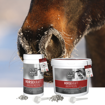 Steinkraft Zeolith Pellets für Pferde