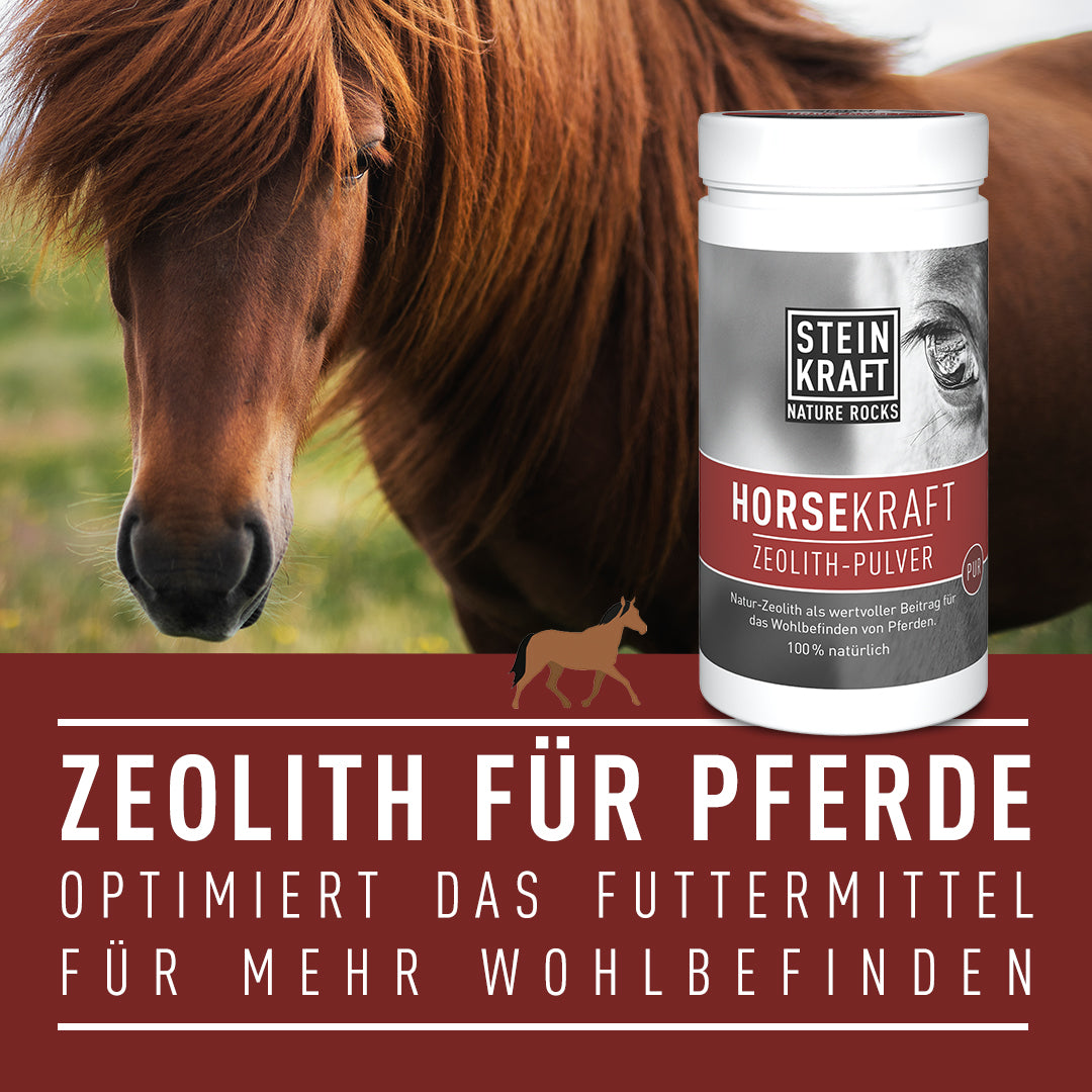 Zeolith Pulver für Pferde in der 1kg Dose optimiert das Pferdefuttermittel indem es Schadstoffe bindet.