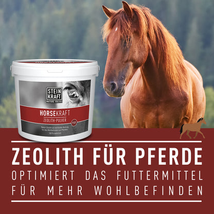 Zeolith Pulver für Pferde im 3kg Kübel hilft bei Kotwasser und Ekzemen.