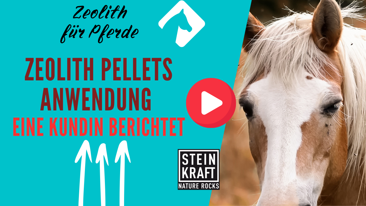 STEINKRAFT Zeolith Pellets für Pferde - ein Anwendungsbericht einer Kundin VIDEO