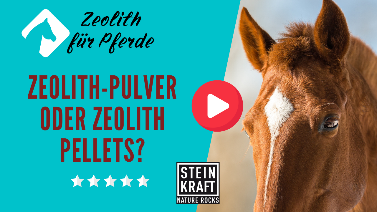 STEINKRAFT Zeolith für Pferde als Pulver oder Pellets - was ist besser? Ein Vergleich - VIDEO