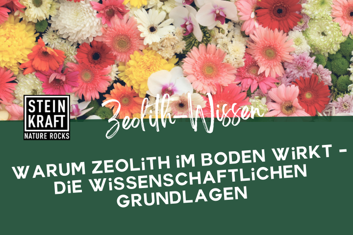 Steinkraft Zeolith im Garten Blog: Warum Zeolith im Boden wirkt - die wissenschaftlichen Grundlagen