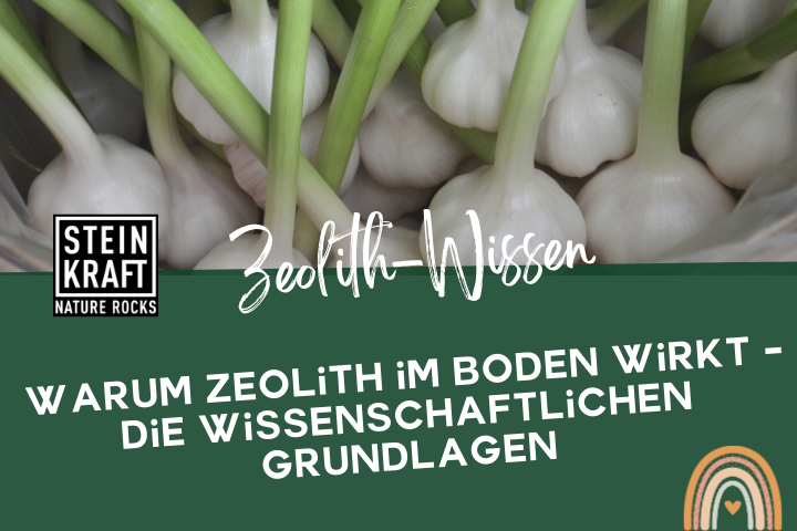 Steinkraft Zeolith im Garten Blog: Warum Zeolith im Boden wirkt - die wissenschaftlichen Grundlagen