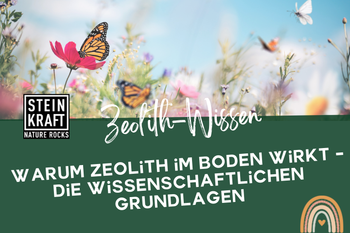 Steinkraft Zeolith im Garten Blog: Warum Zeolith im Boden wirkt - die wissenschaftlichen Grundlagen