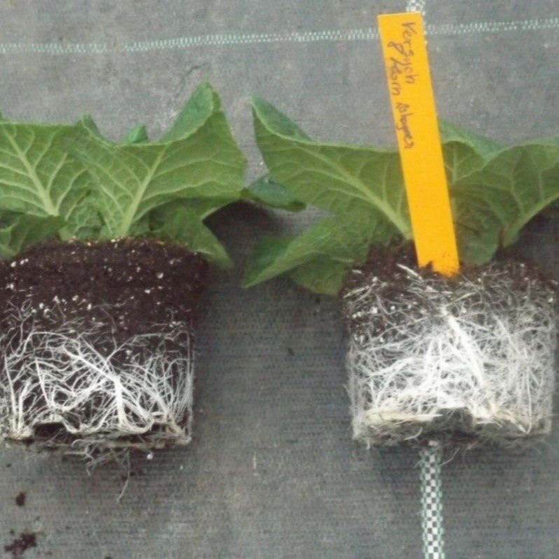 Zeolith zur Bodenverbesserung, BIO-Pellets – STEINKRAFT Zeolith Onlineshop