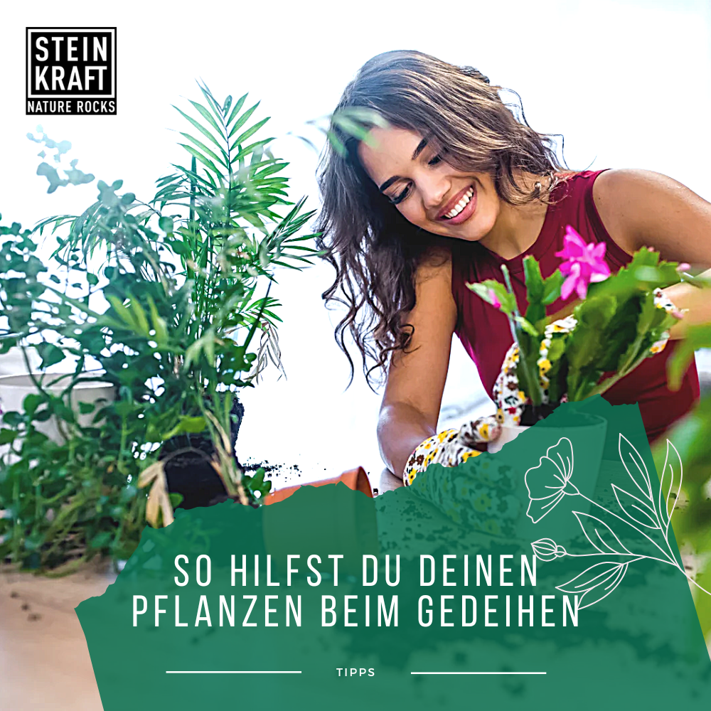 HUMINKRAFT Leonardit 5kg