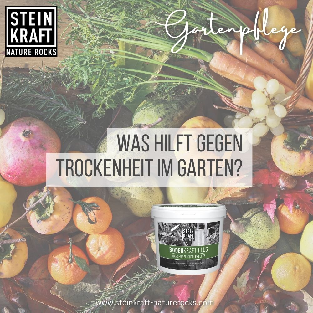 Gartenpflege Tipps zum Verbessern des Bodens: Vermiculit und Zeolith Pellets sind ein veganer natürlicher Wasserspeicher bei STEINKRAFT zu kaufen 