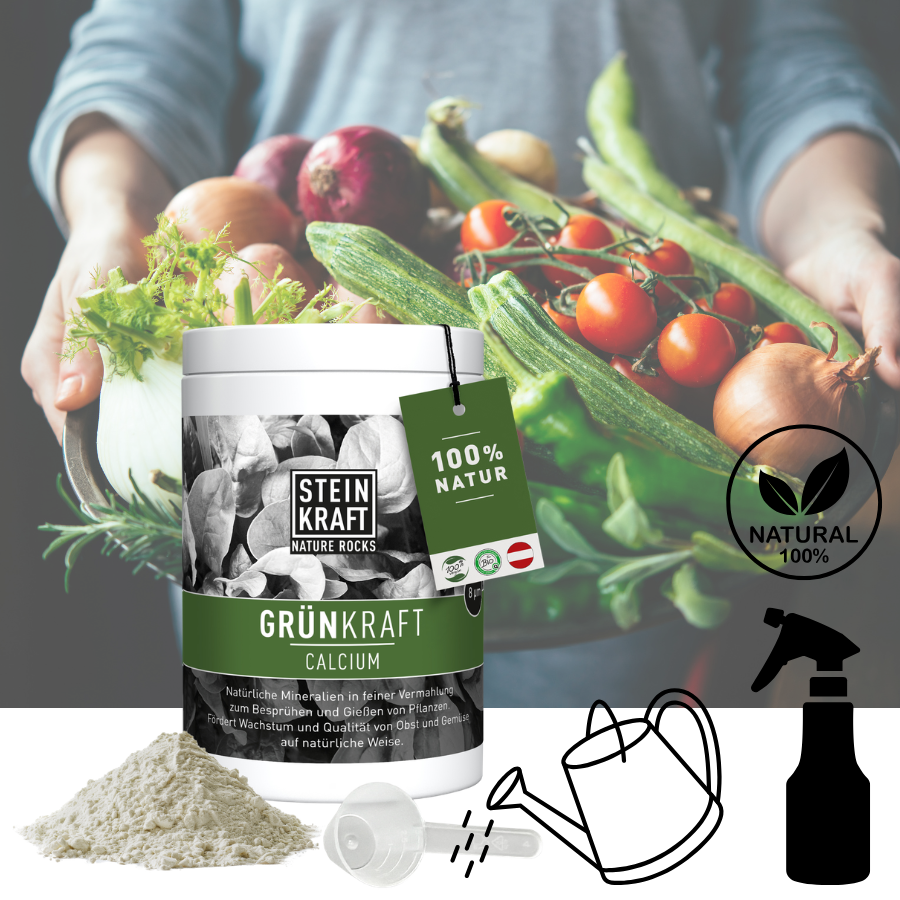 STEINKRAFT Grünkraft Calcium mit Zeolith für Pflanzen zum Sprühen und Giessen 650g