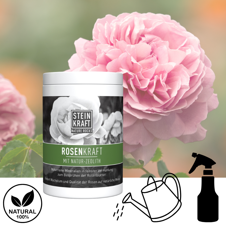 ROSENKRAFT Blatt Dünger mit Zeolith – STEINKRAFT Zeolith Onlineshop