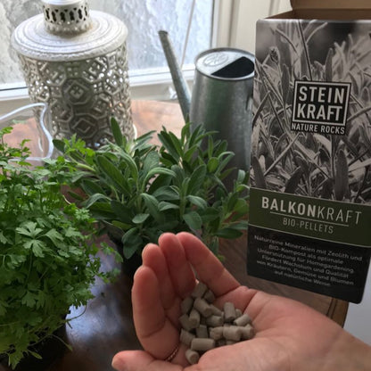 STEINKRAFT Zeolith für Pflanzen - vegane Pellets mit Zeolith zu den Wurzeln dazu speichern Wasser und Nährstoffe und geben sie langsam ab, wenn die Pflanze die Nährstoffe und das Wasser braucht.