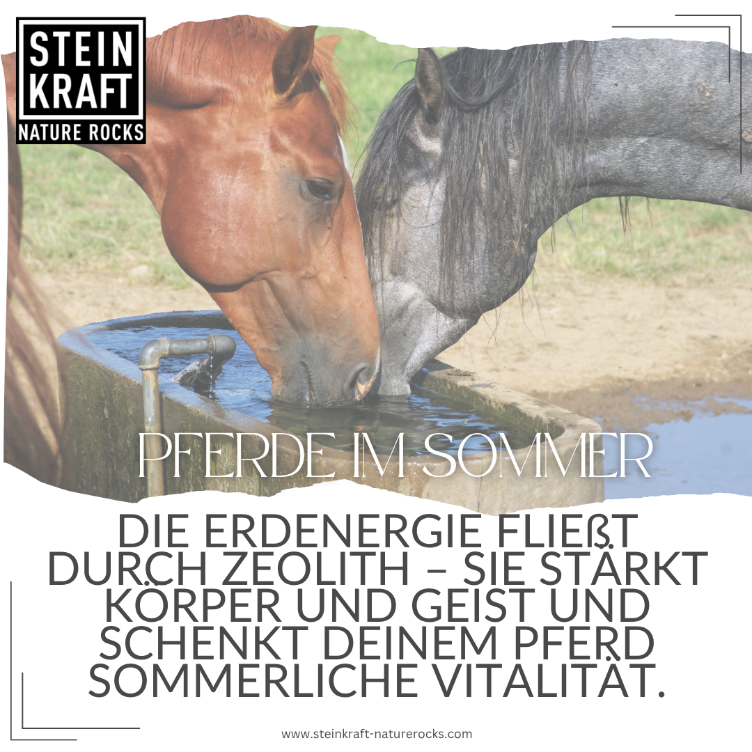 Zeolith Pulver für Pferde - gute Unterstützung im Sommer: Die Erdenergie fliesst durch Zeolith - sie stärkt Körper und Geist und schenkt deinem Pferd sommerliche Vitalität.