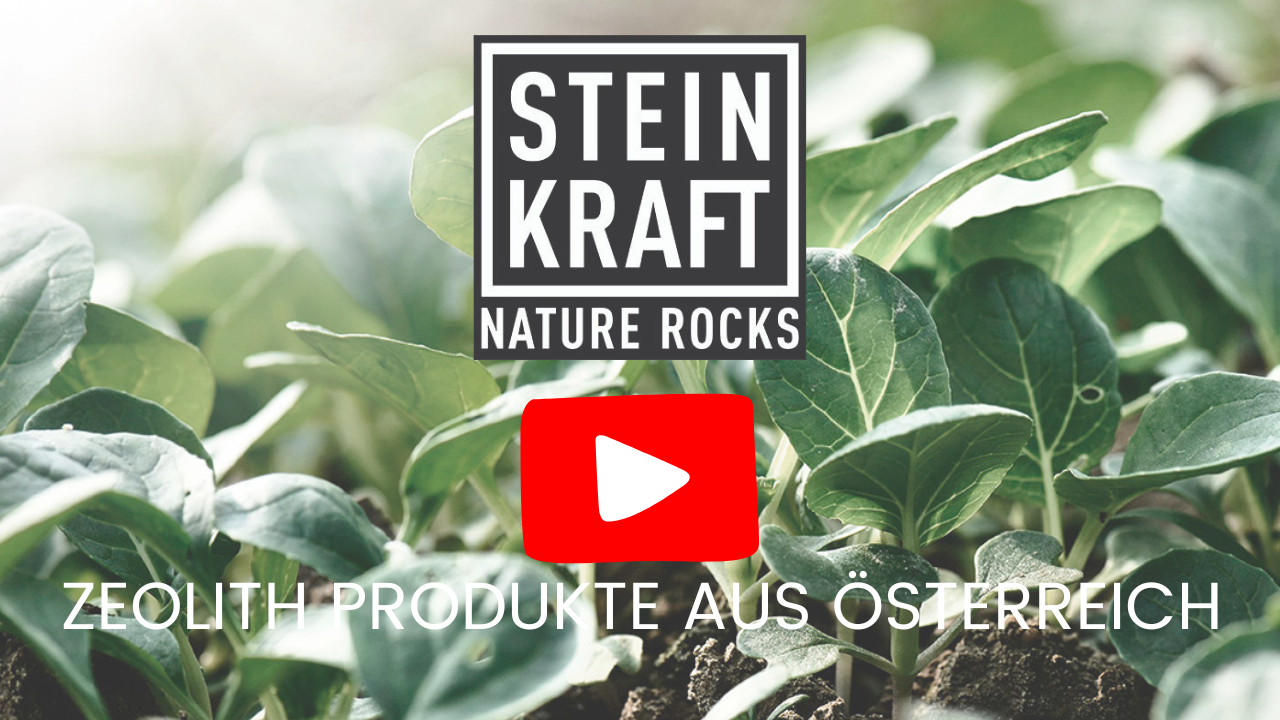 Lade das Video: Zeolith Produkte von Steinkraft [Video]