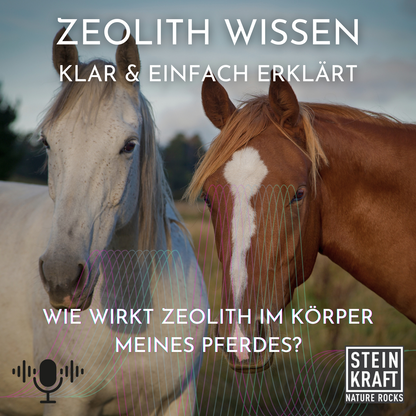 Zeolith Wissen klar und einfach erklärt: Wie wirkt Zeolith im Körper meines Pferdes? Hilft bei Kotwasser und Ekzeme.