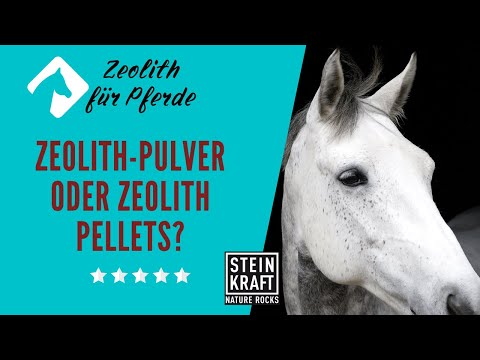 HORSEKRAFT Zeolite in polvere per cavalli