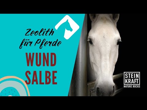 WUNDSALBE Zeolith für Pferd &amp; Hund