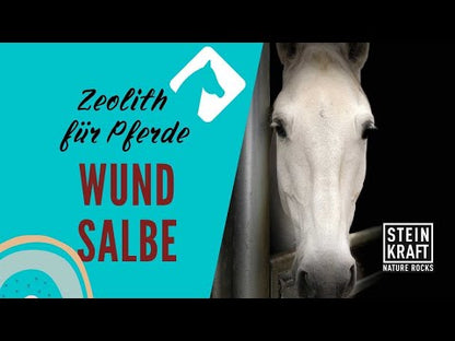 WUNDSALBE Zeolith für Pferd &amp; Hund