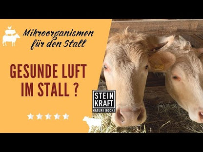 Mikroorganismen AM+PLUS Urlösung für Landwirtschaft